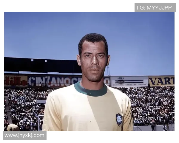 后脑勺大足球明星的传奇人生与球场背后的不为人知故事