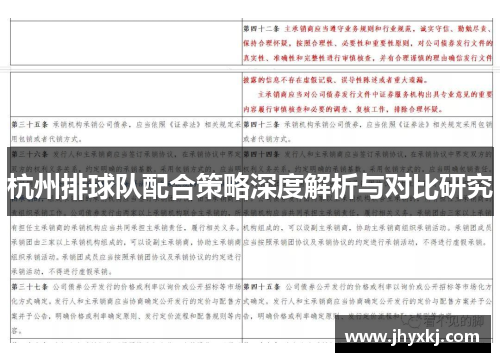 杭州排球队配合策略深度解析与对比研究